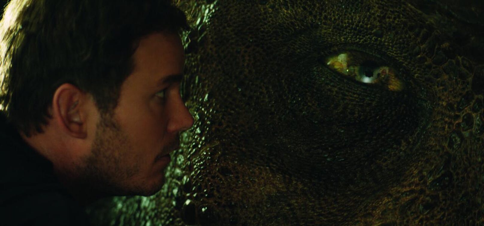 Auge in Auge mit einem T-Rex: Chris Pratt als Owen.