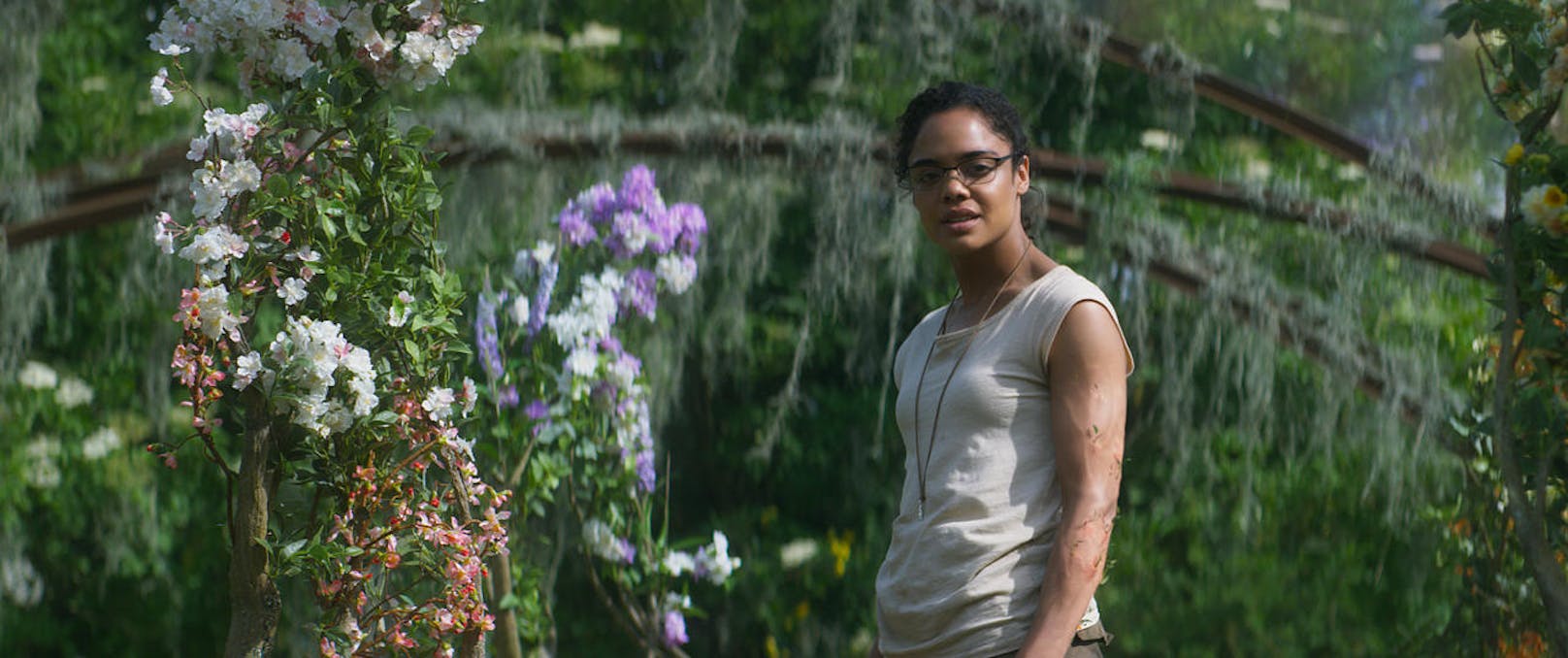 Tessa Thompson als Josie Radek in "Auslöschung"