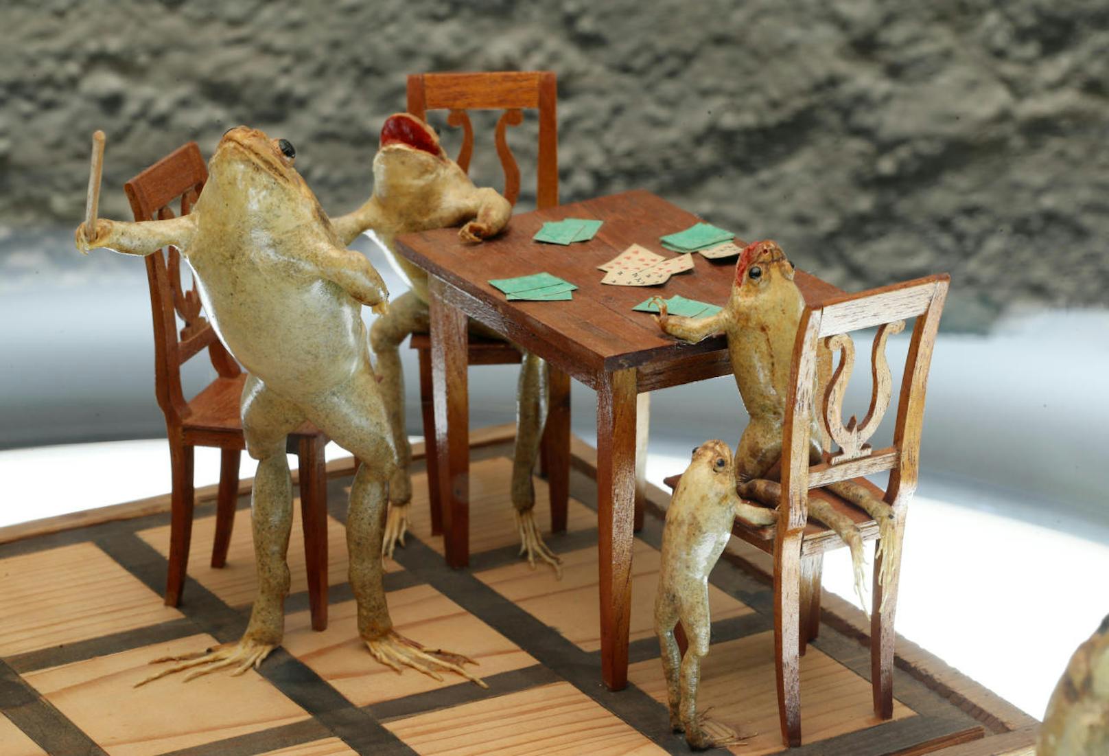 Diese Frösche sollen eine Familie beim Kartenspiel darstellen. Im Froschmuseum in Estavayer-le-Lac in der Schweiz stellen 108 ausgestopfte Frösche Alltagsszenen aus dem 19. Jahrhundert dar.