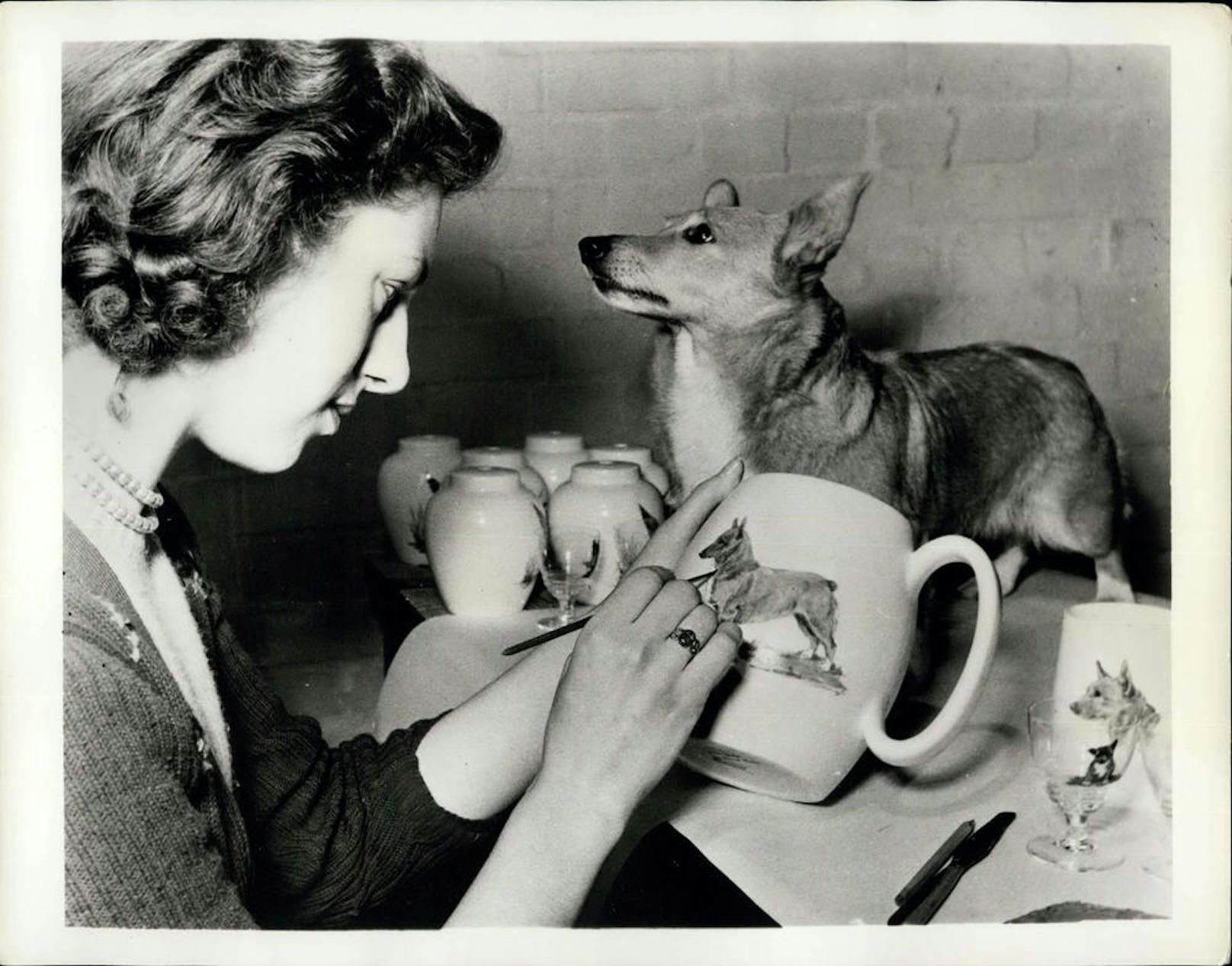 Die Queen hat in ihrer Amtszeit mehr als 30 Corgis besessen - den ersten, Susan, hat sie zu ihrem 18. Geburtstag 1944 bekommen. Viele ihrer Hunde waren Nachkommen von Susan. Auch Willow, ihr letzter, war eine direkte Nachfahrin von Susan.