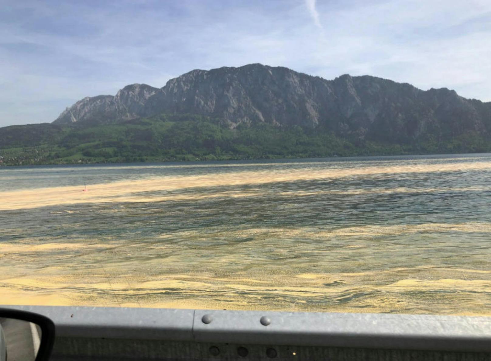 Der Attersee ist durch die Pollen gelb eingefärbt.