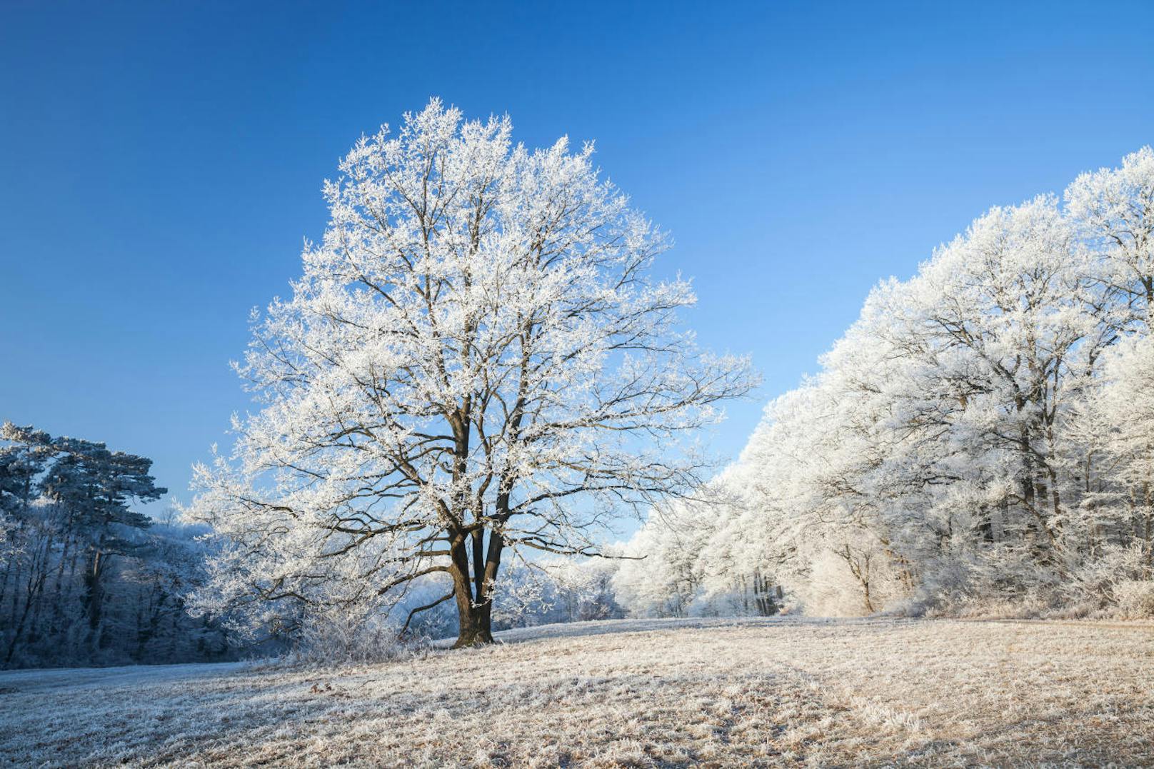 <b>Winter in Österreich: Viel Schnee - und jetzt wird es richtig kalt >>></b>