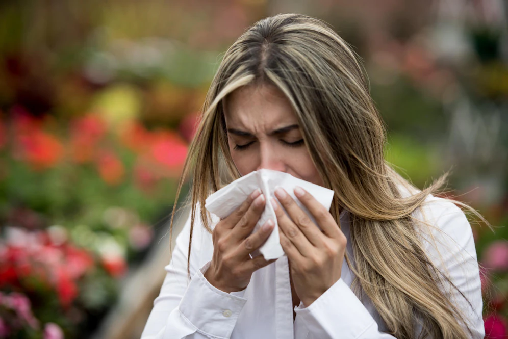 Pollenallergie tritt heuer verstärkt auf.