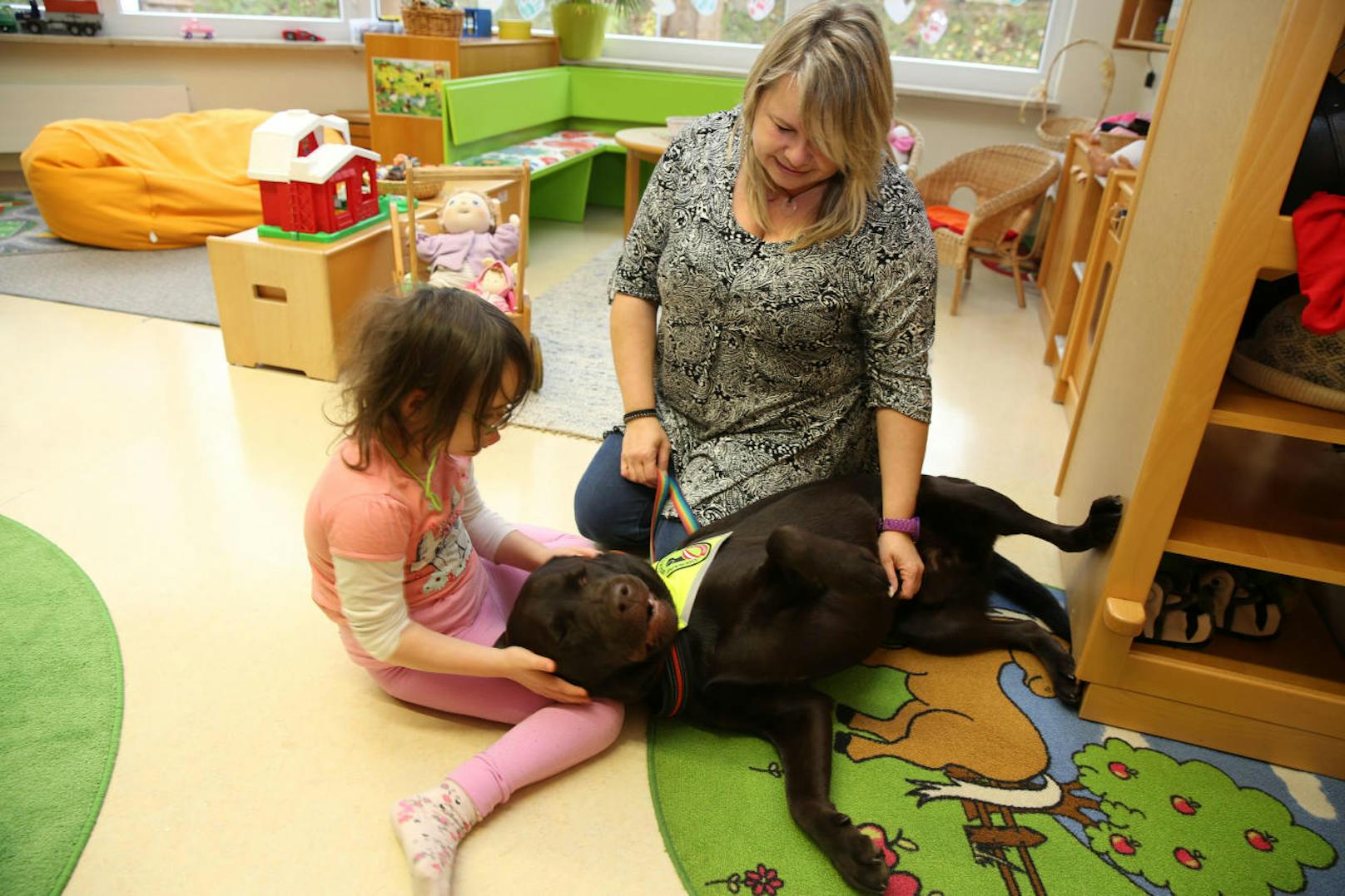 Labrador "Joey" arbeitet im Kindergarten St. Isidor in Leonding. Er gehört Pädagogin Sandra Kainzinger. (Caritas)