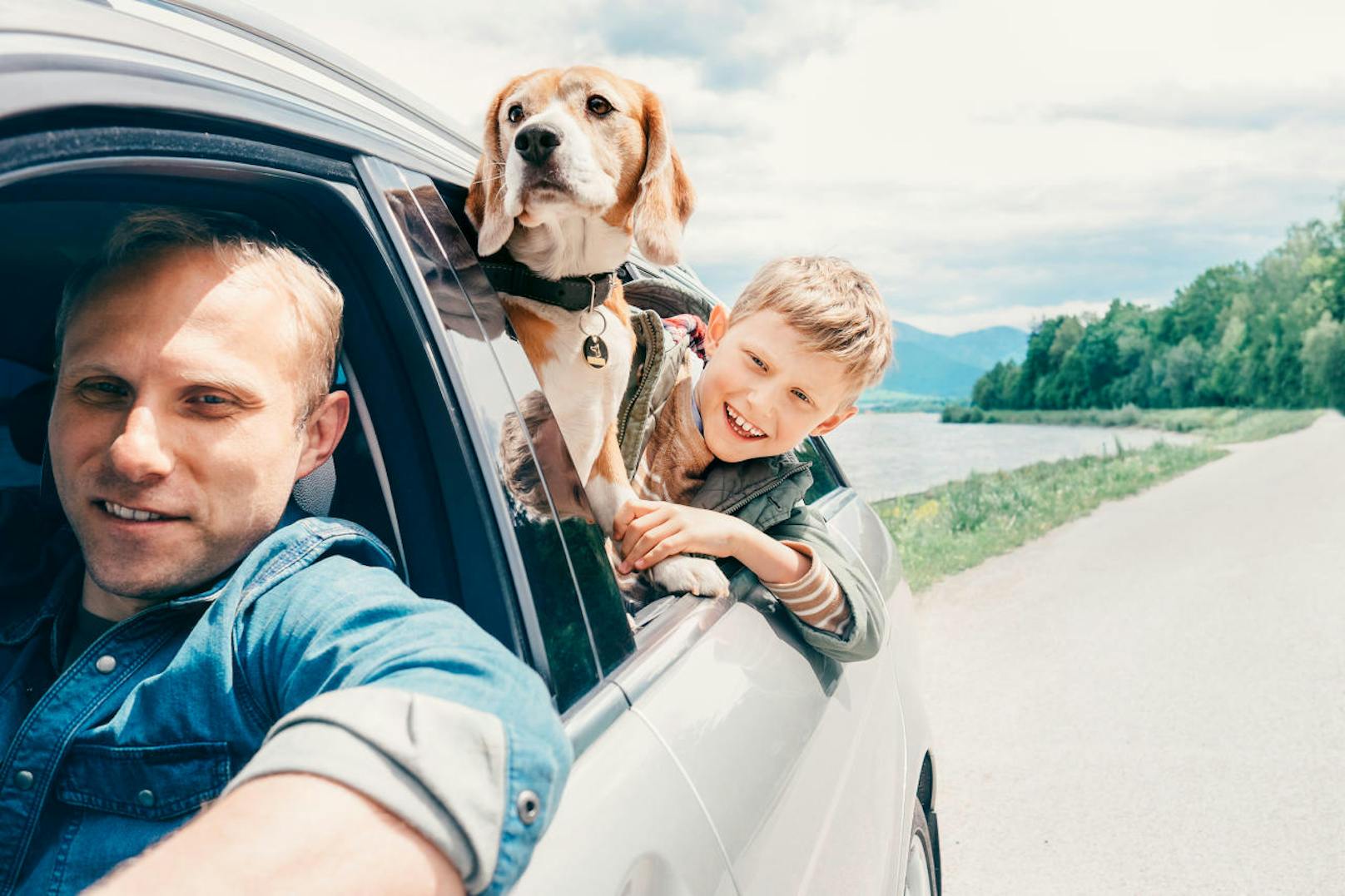 <b>Tipp 4: Transport im Auto</b>
Ihr Hund muss im Auto vorschriftsmäßig gesichert sein, denn ansonsten ist der Vierbeiner gefährdet und kann auch für Sie zur Gefahr werden. Falls Ihr Urlaub mit dem Hund im Sommer stattfindet, spielt vor allem auch die Hitze im Wagen eine bedeutende Rolle. Große Hitze kann für den Hund richtig gefährlich werden. Die wichtigste Regel lautet daher: Lassen Sie Ihren Hund im Sommer nie allein im Auto zurück! Auch nicht, wenn Sie im Schatten geparkt haben. Achten Sie während einer langen Autofahrt auch darauf, dass der Hund genügend Wasser trinkt und Sie hin und wieder Pausen einlegen.