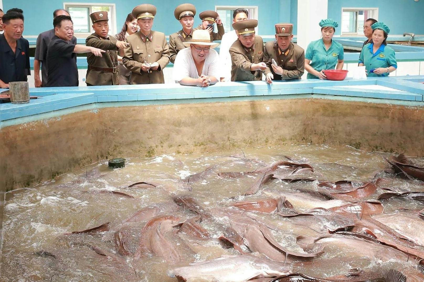 Kim Jong-un besucht in der Provinz Hwanghae eine Zuchtanlage für Welse.
