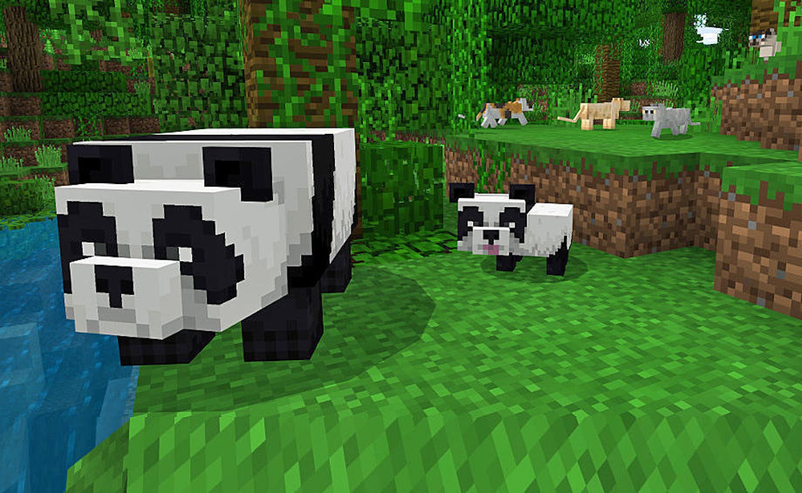 Für Minecraft ist ein Bonus-Update erschienen. Neben Pandas und neu gestalteten Katzen enthält die Aktualisierung auch neues Baumaterial: Bambus. Weiter steht ab sofort die Armbrust mit verschiedenen Verzauberungen zur Verfügung. Das Update ist für Xbox One, Windows 10, PC, iOS, Android und Nintendo Switch verfügbar.