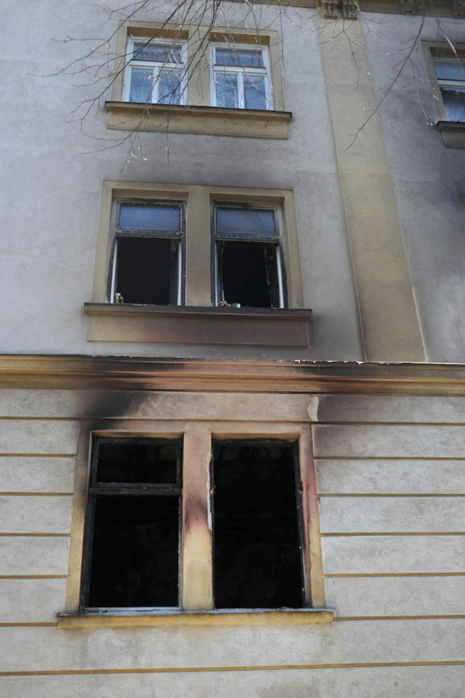 Der Brand in der Wiener Laskegasse - bei der folgenden Explosion starb eine Person, drei wurden verletzt - war kein Unfall. Das Haus bleibt wegen Einsturzgefahr bis auf weiteres gesperrt. 20 Personen kamen bei Verwandten unter, für einen Mieter wird noch nach einer Unterkunft gesucht.