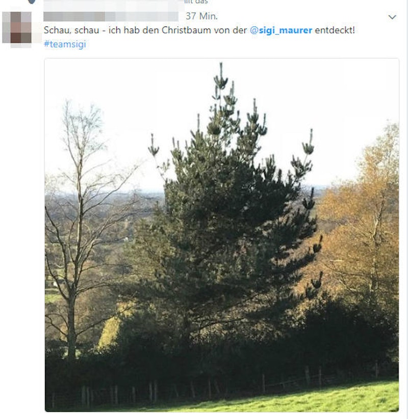Geteilte Meinungen über Sigi Maurers Abschieds-Tweet >>>