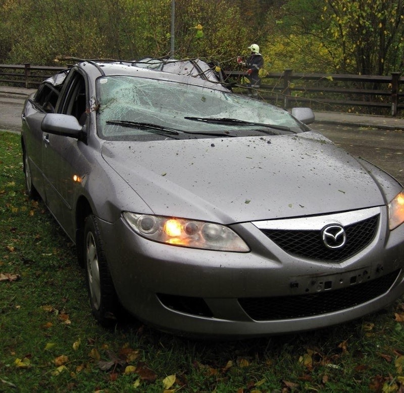Der Baum krachte auf das fahrende Auto.