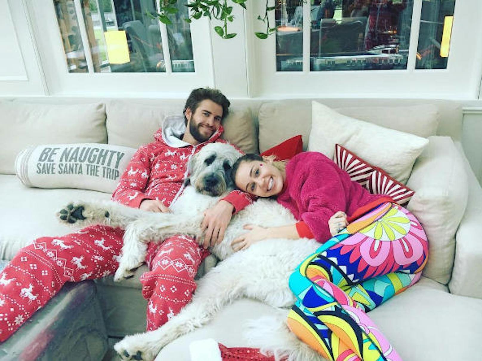 Ewig zusammen: Miley Cyrus feierte das Weihnachtsfest 2016 gemütlich auf der Couch mit ihrem Freund Liam Hemsworth und ihrer Hündin "Dora".