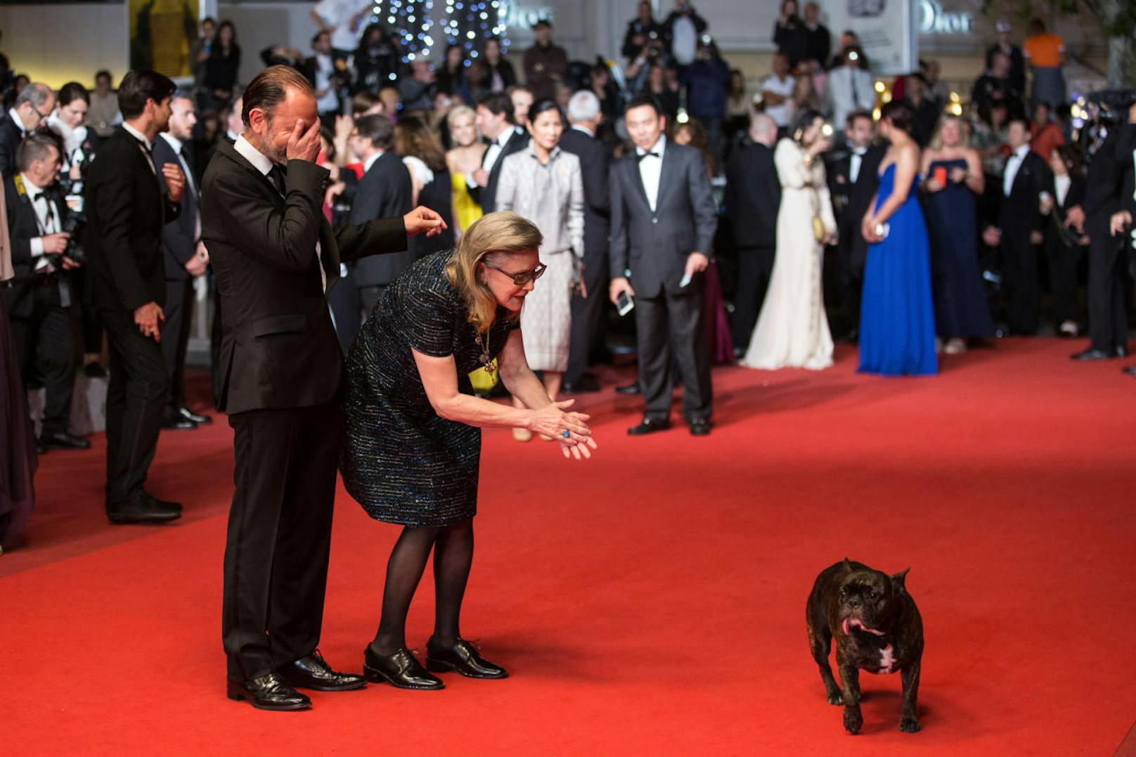 Carrie Fisher und ihr Hund Gary bei den Filmfestspielen von Cannes 2016. 