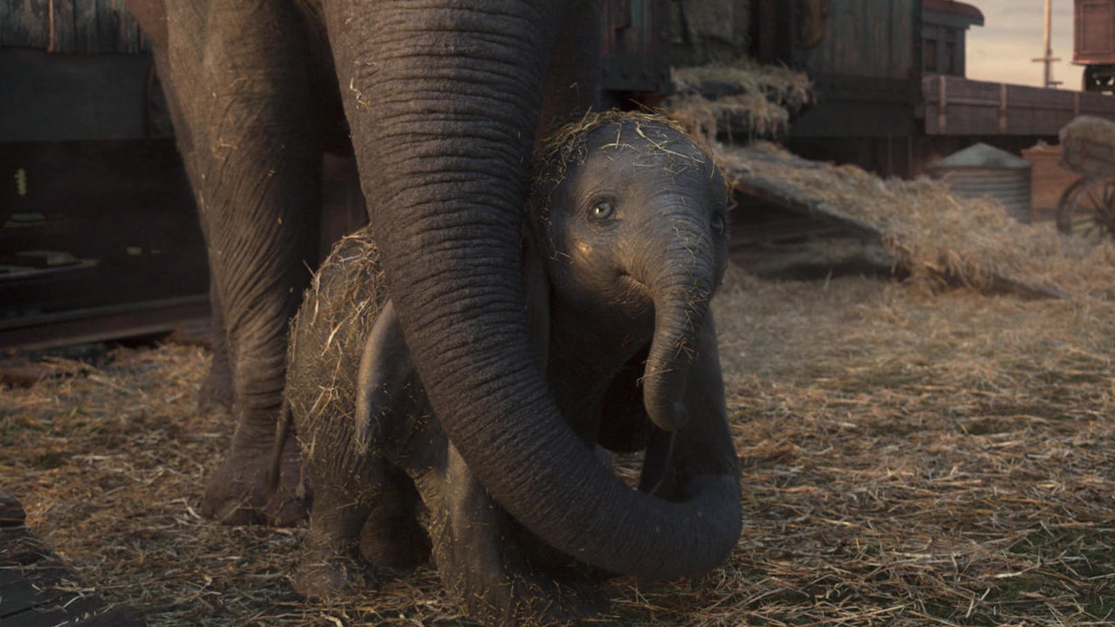 Dumbo mit seiner Elefanten-Mama 