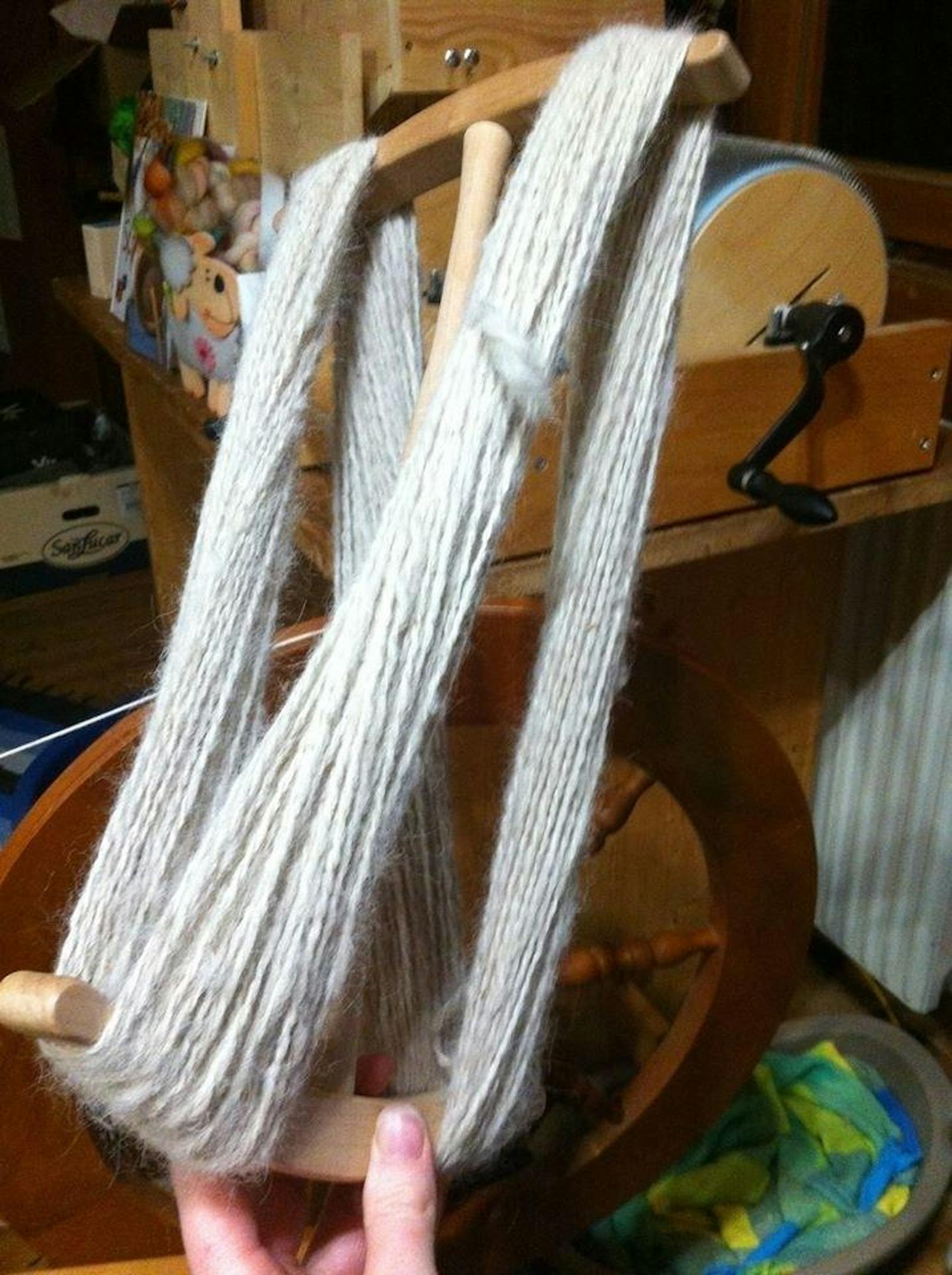 Die bearbeitete Wolle wird zu dünnen Fäden gesponnen. 
