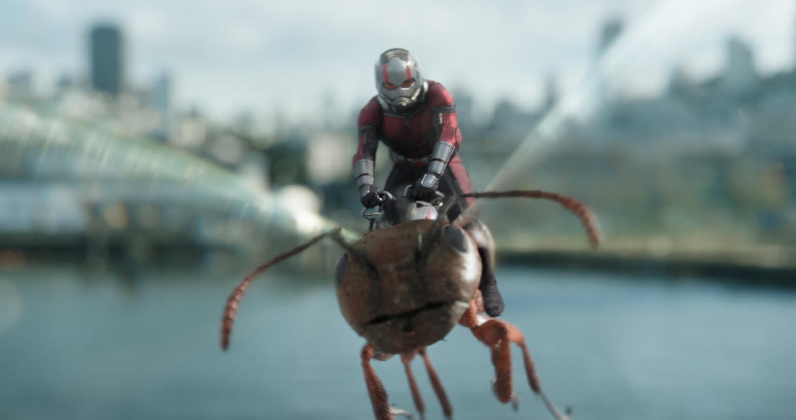 Ant-Man/Scott Lang (Paul Rudd)