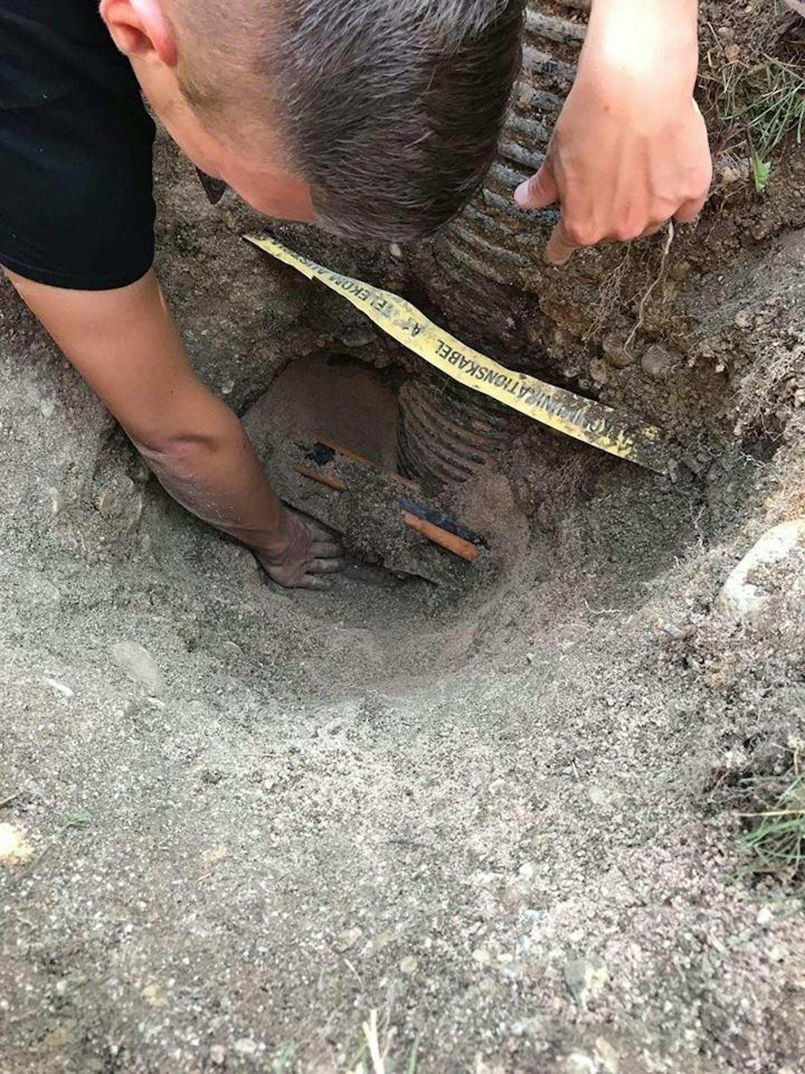 Der Igel konnte schlussendlich freigegraben werden.