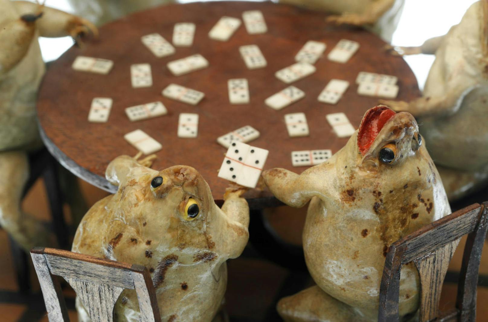 Frösche beim Dominospiel. Im Froschmuseum in Estavayer-le-Lac in der Schweiz stellen 108 ausgestopfte Frösche Alltagsszenen aus dem 19. Jahrhundert dar.
