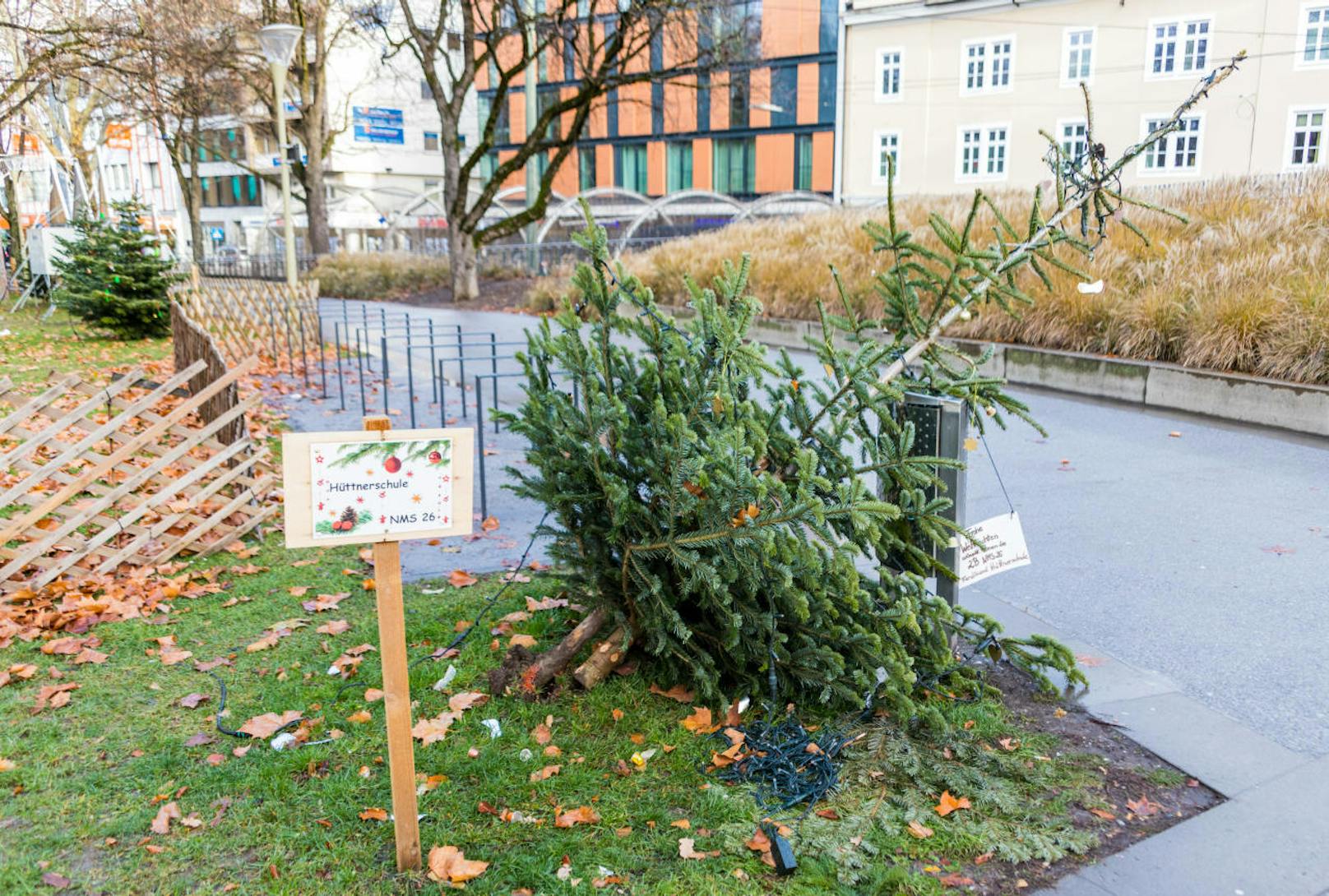 Vandalen rissen im Linzer Volksgarten mehreren von Schulkindern geschmückte Christbäume.