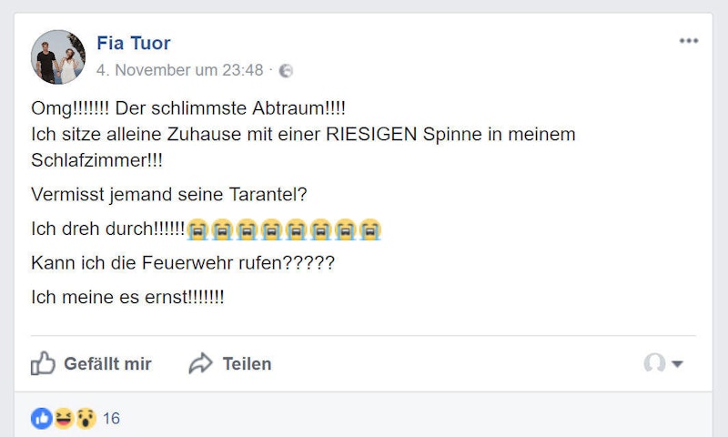 "Omg!!!!!!! Der schlimmste Abtraum!!!! Ich sitze alleine Zuhause mit einer RIESIGEN Spinne in meinem Schlafzimmer!!!", postete die 28-Jährige panisch auf Facebook.
