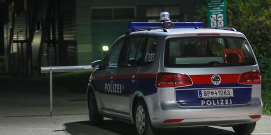 Die Beamten wollten das Fahrzeug kontrollieren.