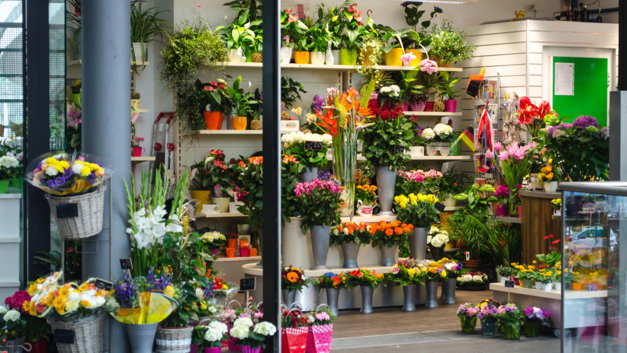 Heute.at - Bekannter Blumenhändler mit 14 Filialen ist pleite