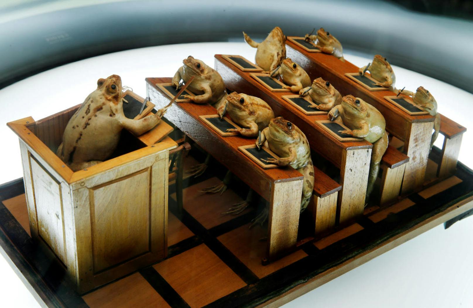 Eine Frosch-Schuleklasse. Im Froschmuseum in Estavayer-le-Lac in der Schweiz stellen 108 ausgestopfte Frösche Alltagsszenen aus dem 19. Jahrhundert dar.
