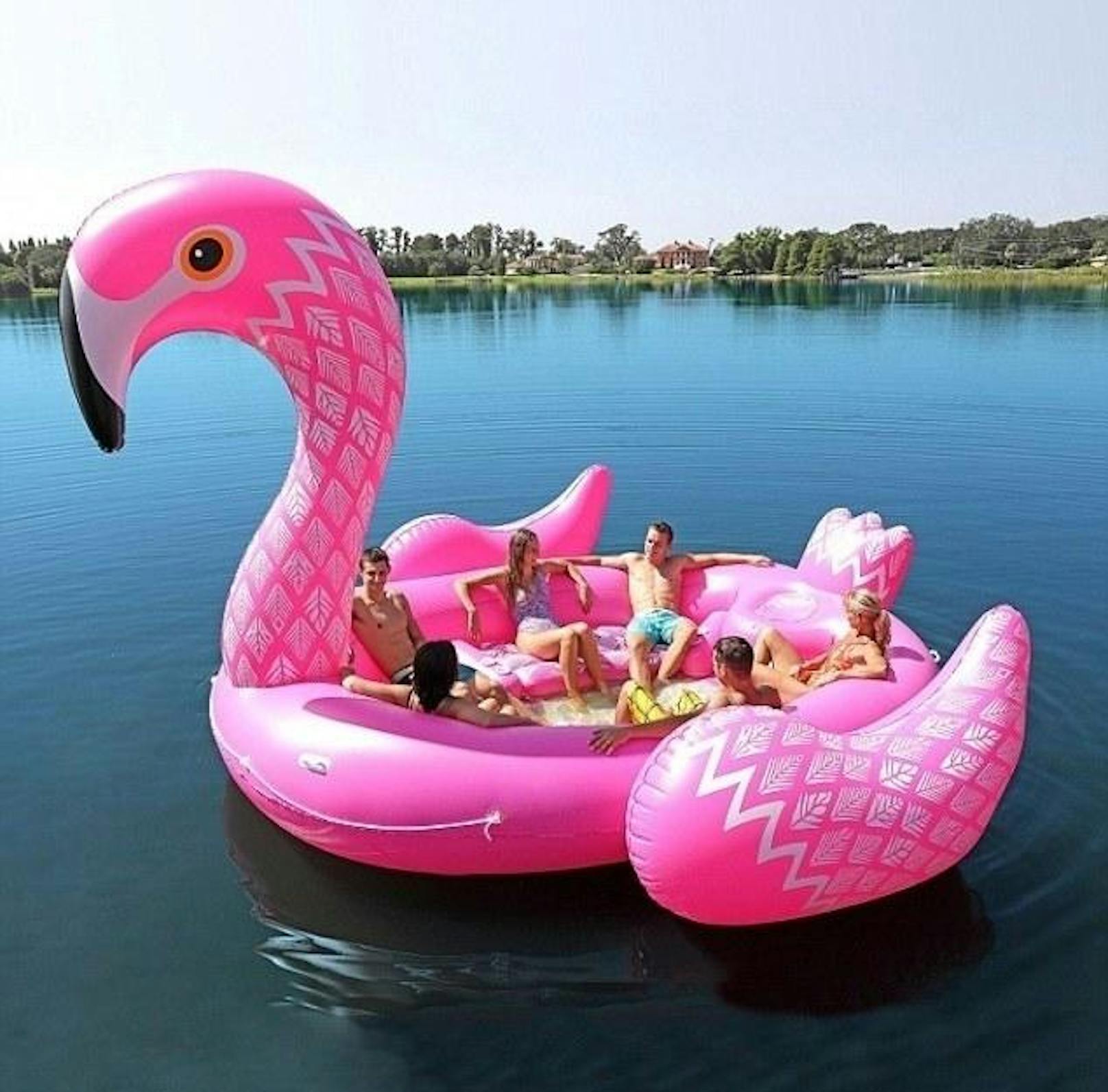 ...Flamingo,...
