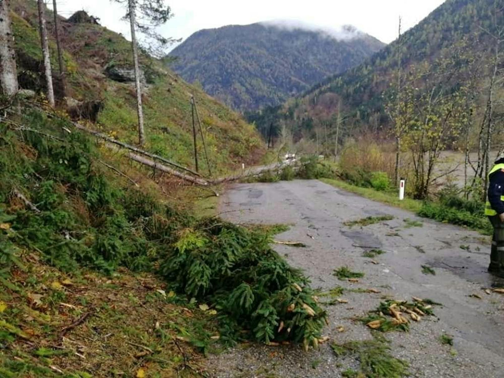 Straßen mussten aufgrund umgestürzter Bäume gesperrt werden.