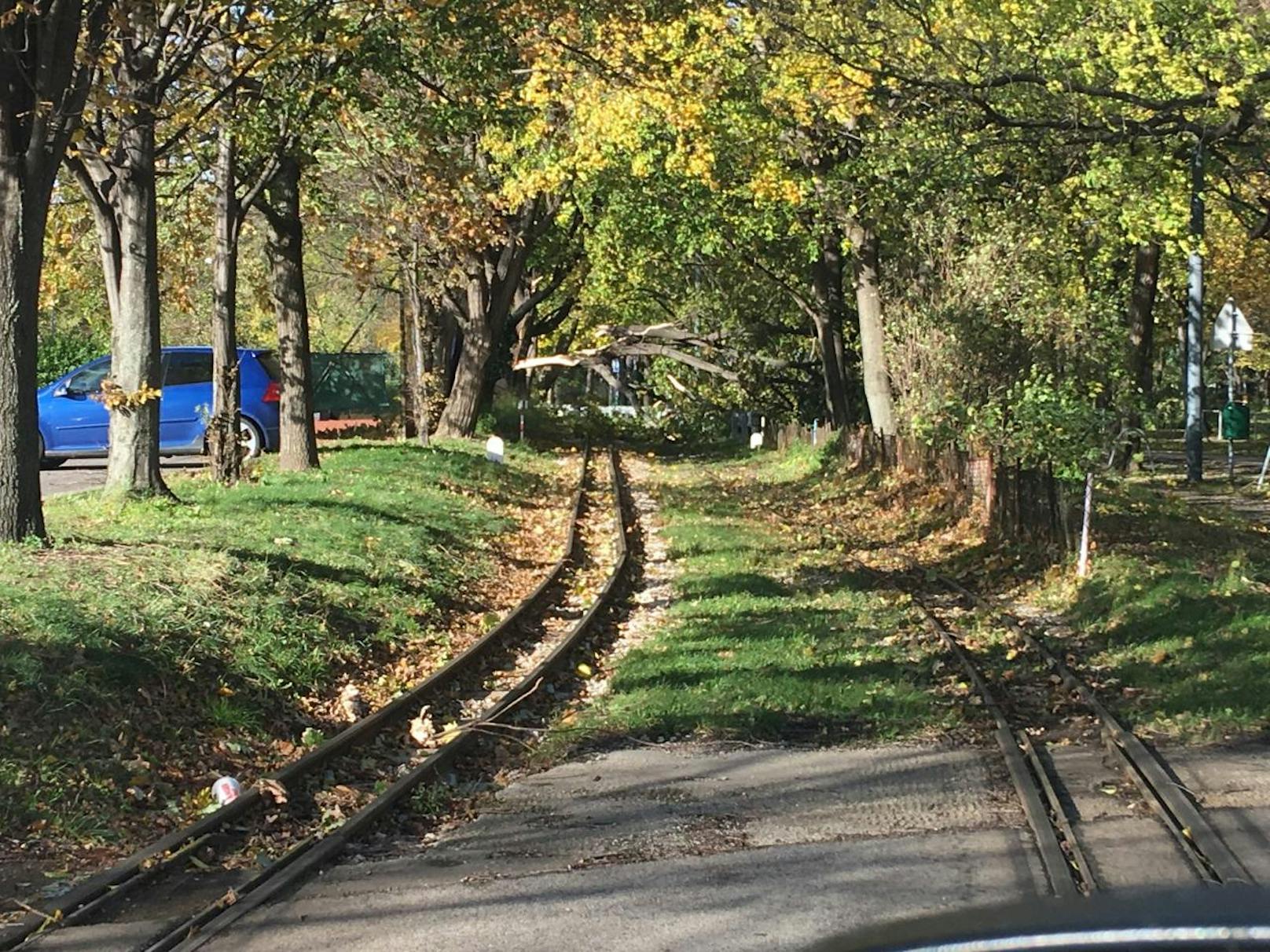 Traurig für Hobby-Eisenbahnler: Im Prater ist ein Baum auf die Gleise der Liliputbahn gestürzt und machte Fahrten unmöglich.