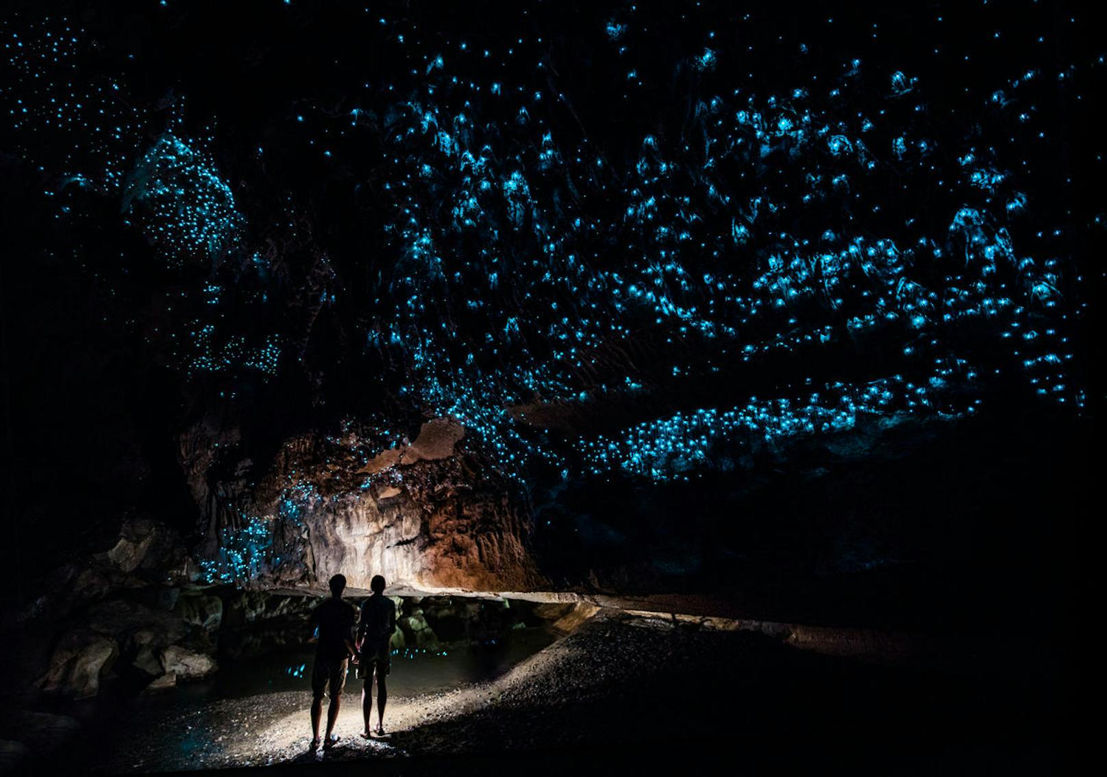 <b>Waitomo Caves - Waitomo, Neuseeland</b>
Besonders beeindruckend: Die Waitomo Glühwürmchen Höhlen, in der tausende Vertreter der leuchtenden Käfer für ein unvergessliches Lichtspiel sorgen.