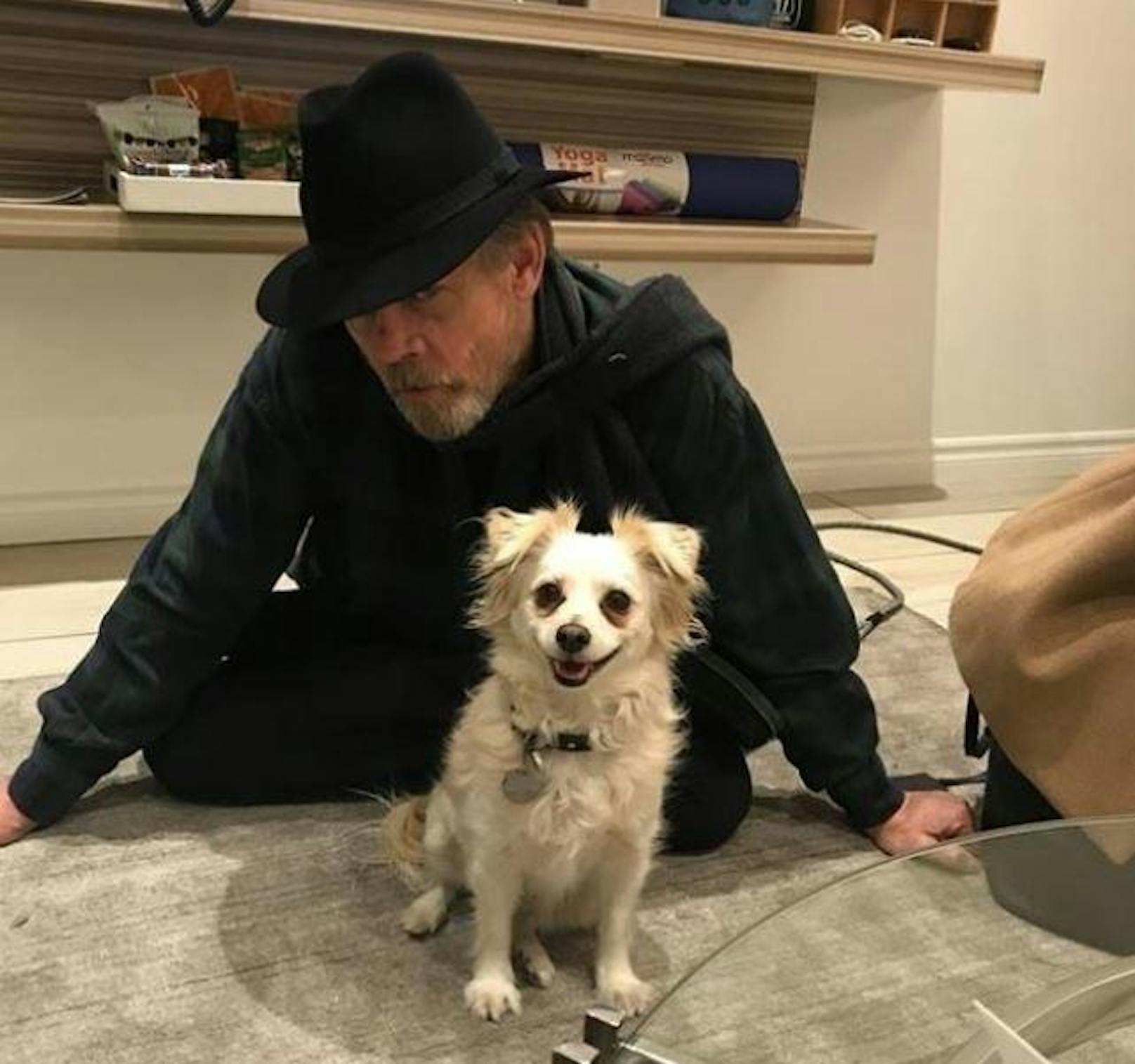 Mark Hamill und sein Hundedame Millie Grace