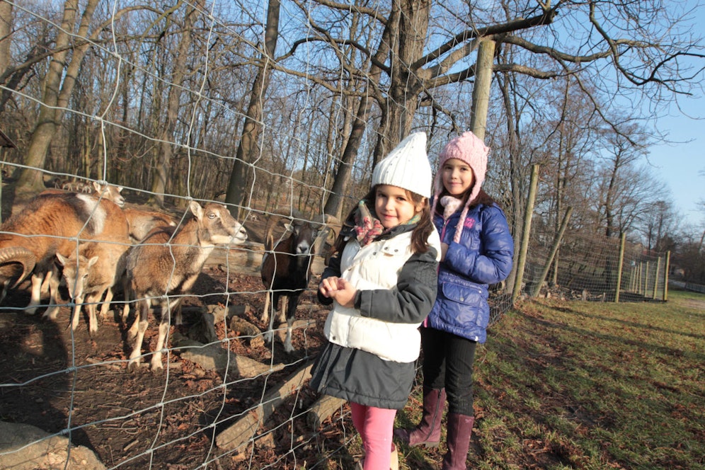 Auch wenn wettermäßig der Winter zurückkehrt: Die Wintersperre des Lainzer Tiergartens in Wien-Hietzing ist am Samstag zu Ende. Das gesamte Areal ist wieder geöffnet.