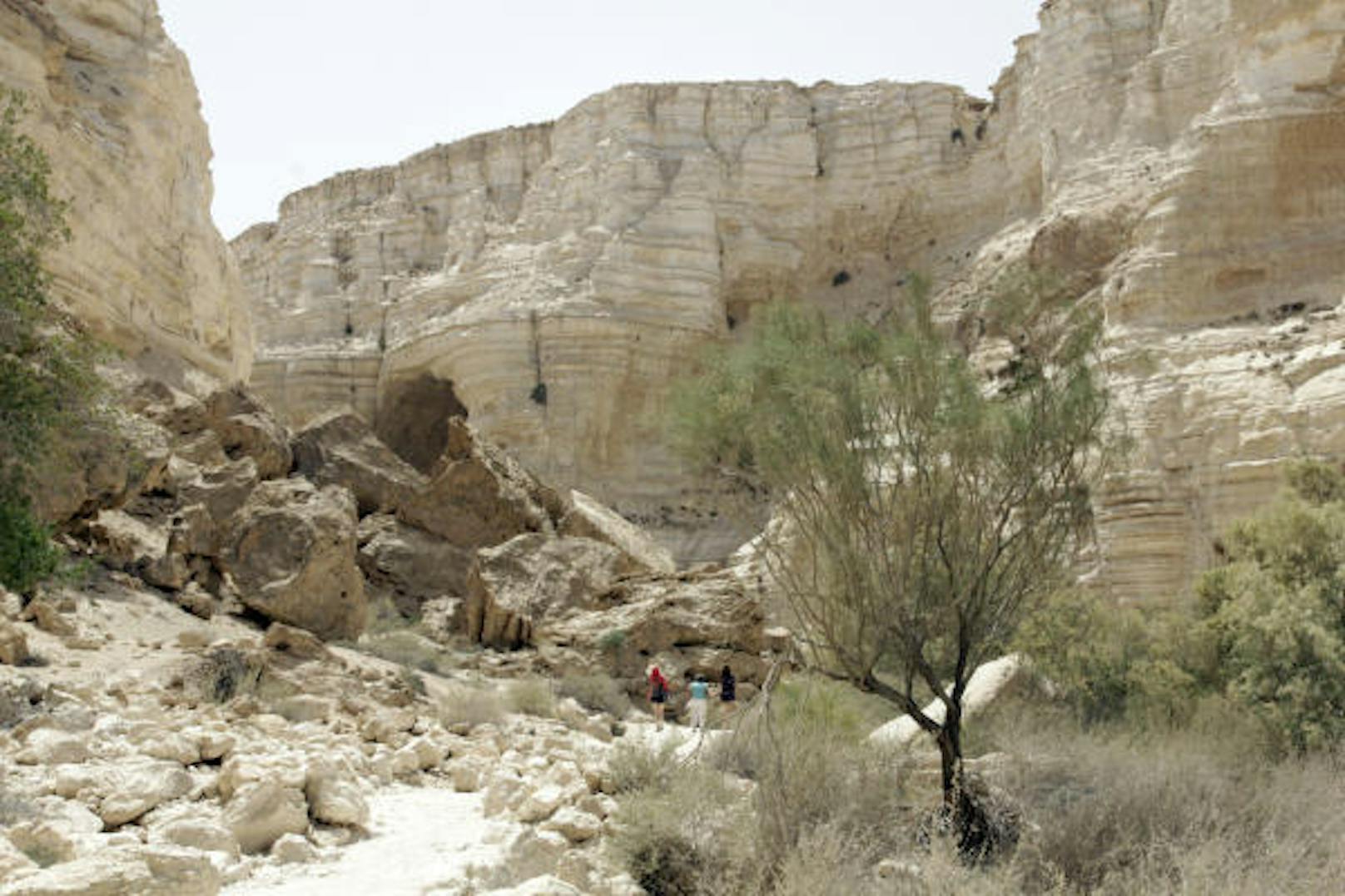 Der Nationalpark Ein Avdat in der Wüste Negev. Wasser hat über Jahrtausende einen tiefen Canyon in das Kalkgestein geschnitten.
