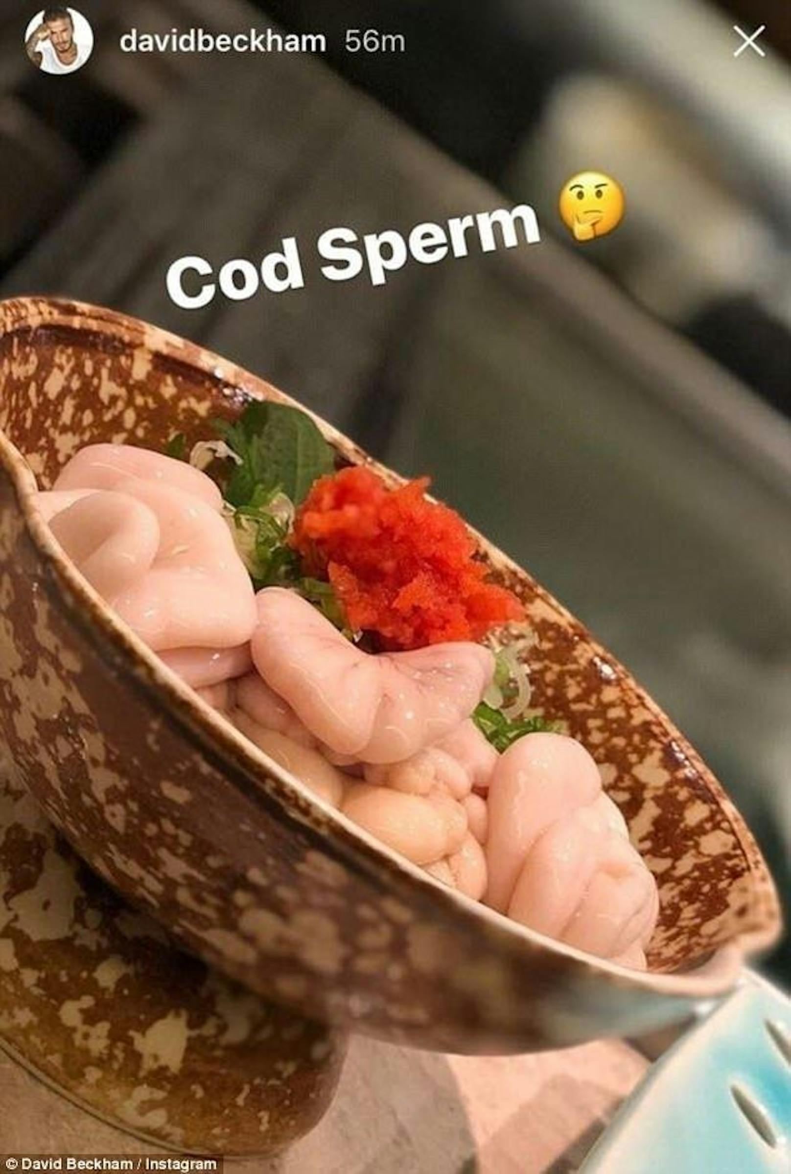 Cod Sperm = eine japanische Delikatesse namens Shirako (Fischmilch) und besteht aus den Hodensäcken des Kabeljaus (gefüllt mit Sperma)