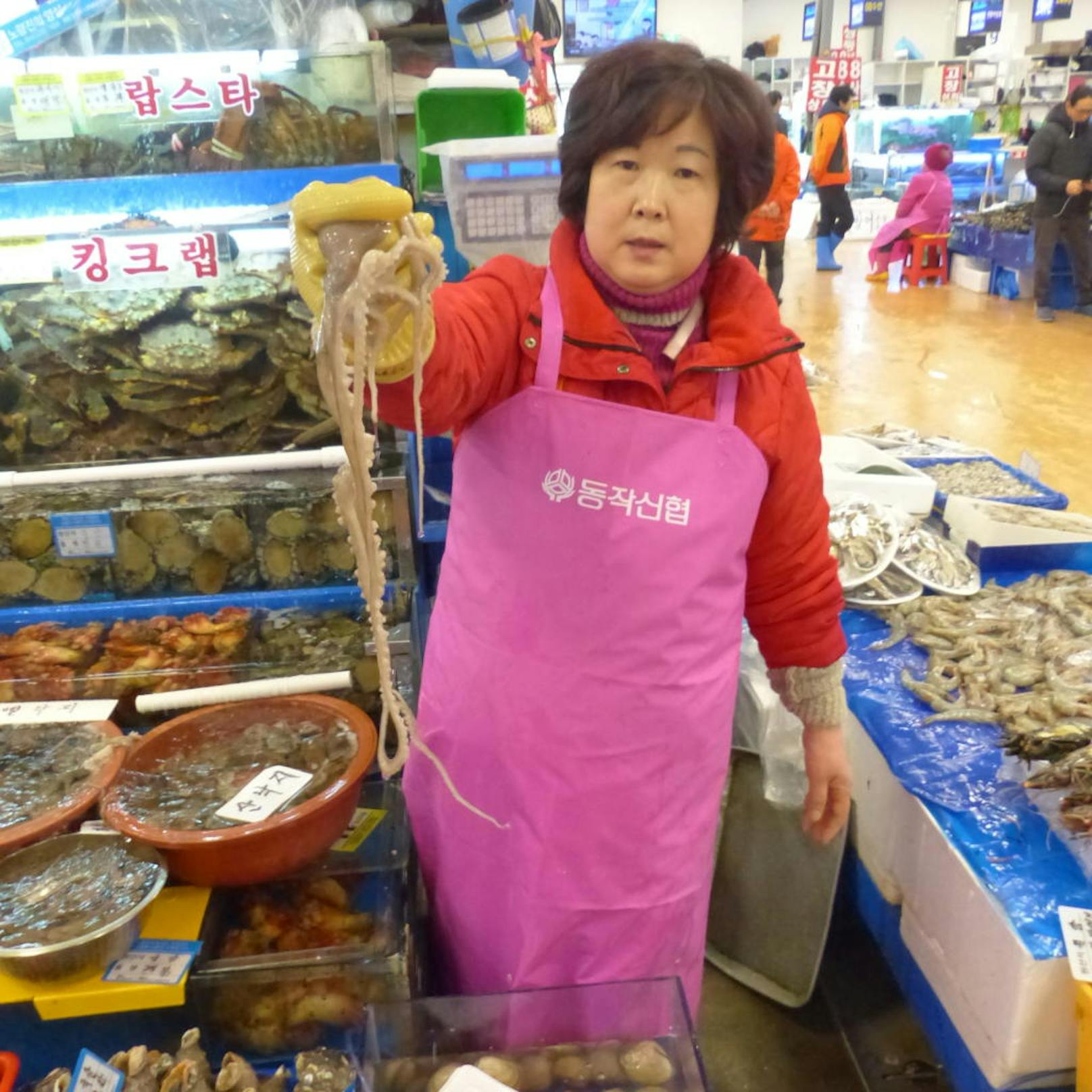 Die Verkäuferin bietet lebenden Tintenfisch an.
