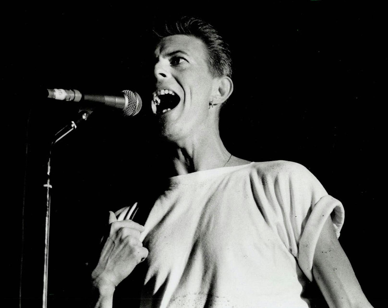 David Bowie starb zwei Tage nach seinem 69. Geburtstag, an dem er auch sein letztes Album "Blackstar" veröffentlicht hatte, an Leberkrebs.