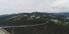 Linzer Hängebrücke: Grüne wollen Projekt verhindern