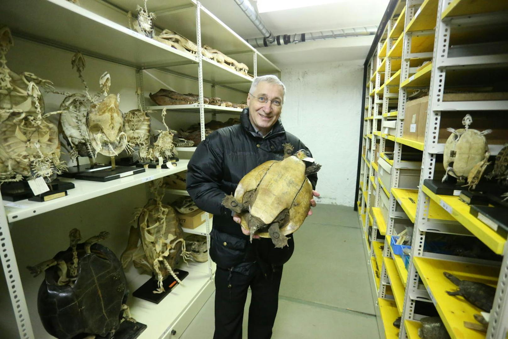 Der mittlerweile pensionierte Sammlungsmanager Richard Gemel war jahrelang als Mitarbeiter und Bibliothekar tätig und kümmerte sich um die Amphibien- und Reptiliensammlung im Naturhistorischen Museum.