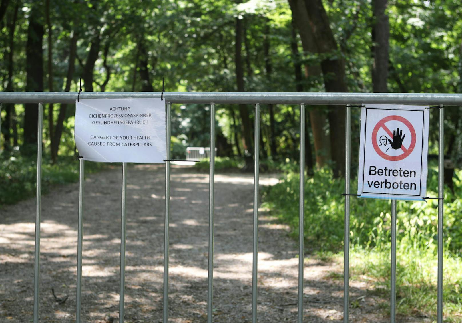 Im Schlosspark und im Tiergarten gibt es derzeit Sperren.