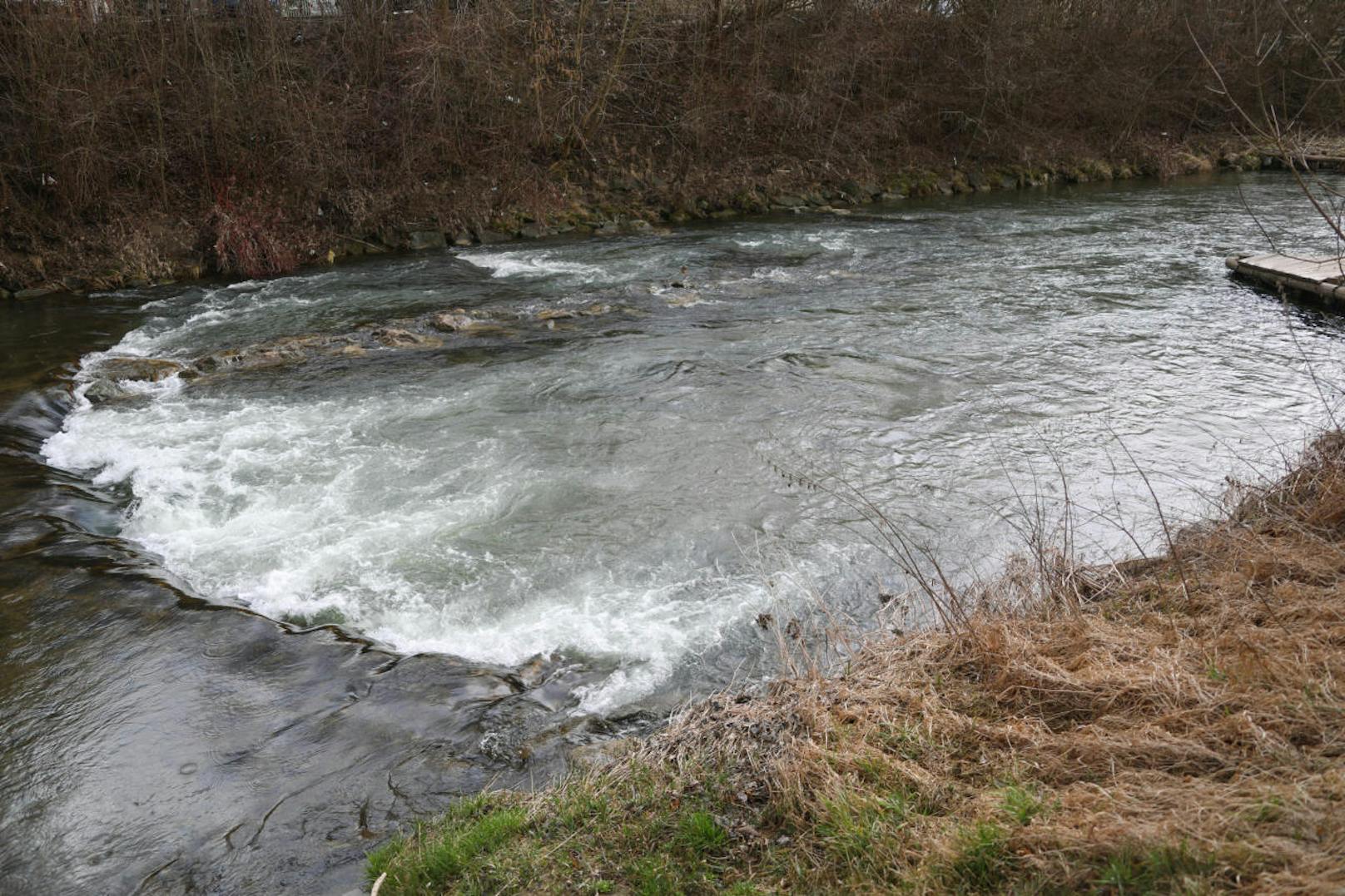 Ein Mann war in Neuhofen (Bez. Linz-Land) in die Krems gestürzt, eine schwangere Frau (31) zog ihn aus dem eiskalten Fluss.