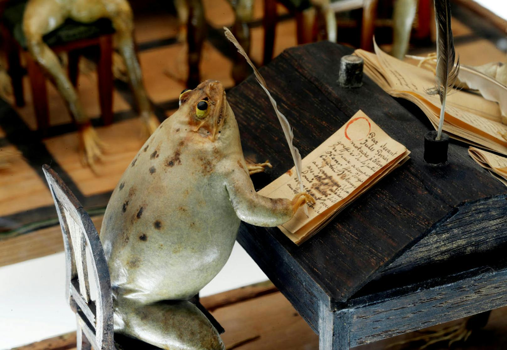 Ein Frosch schreibt ein Dokument in einer Schreibstube. Im Froschmuseum in Estavayer-le-Lac in der Schweiz stellen 108 ausgestopfte Frösche Alltagsszenen aus dem 19. Jahrhundert dar.
