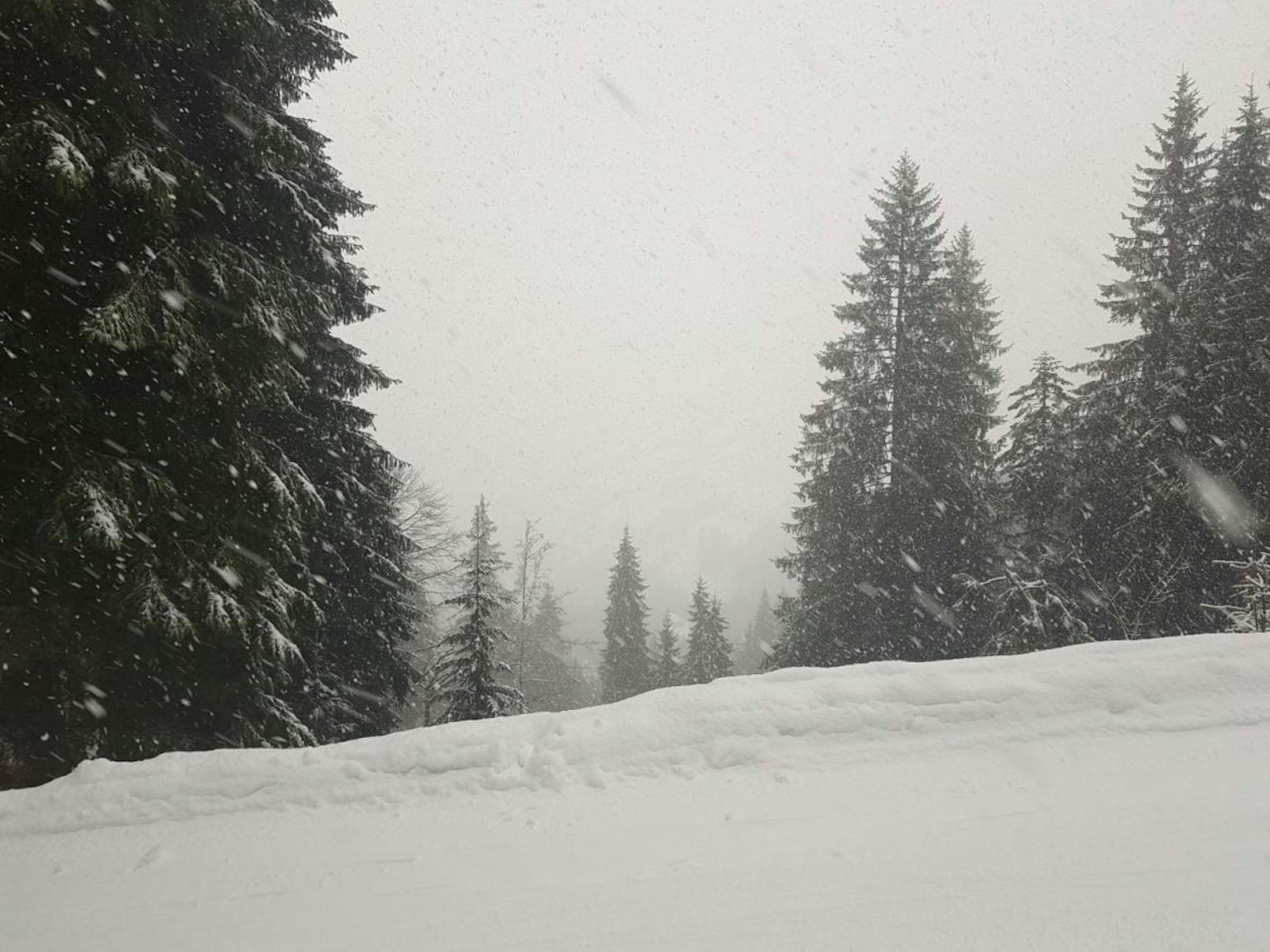 "Alle Lifte in Scheffau geschlossen. Zuerst schönes Wetter danach Nebel, Wind, Schnee und sogar ein Blitz gesichtet."