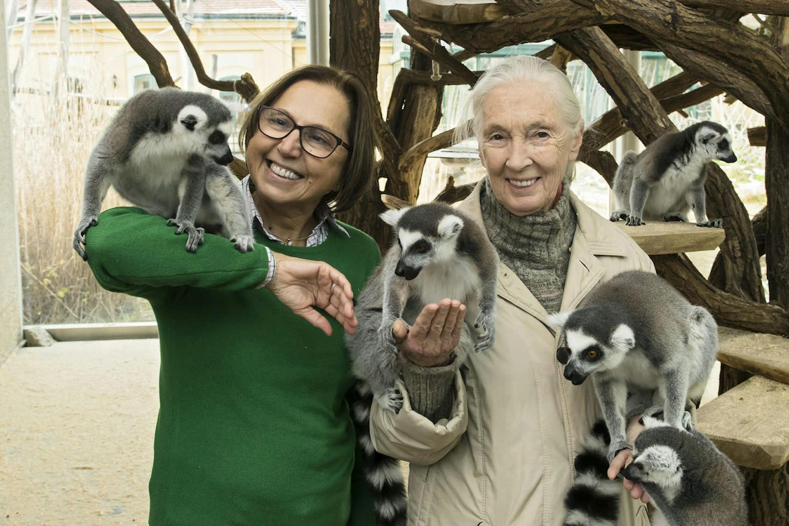Gemeinsam mit Tiergartendirektorin Dagmar Schratter (links) begrüßte Jane Goodall die Kattas.