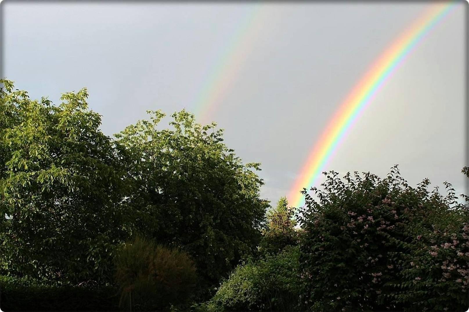 Wie aus einem Märchenbuch: Leserreporter Peter knipste diesen schönen Regenbogen!