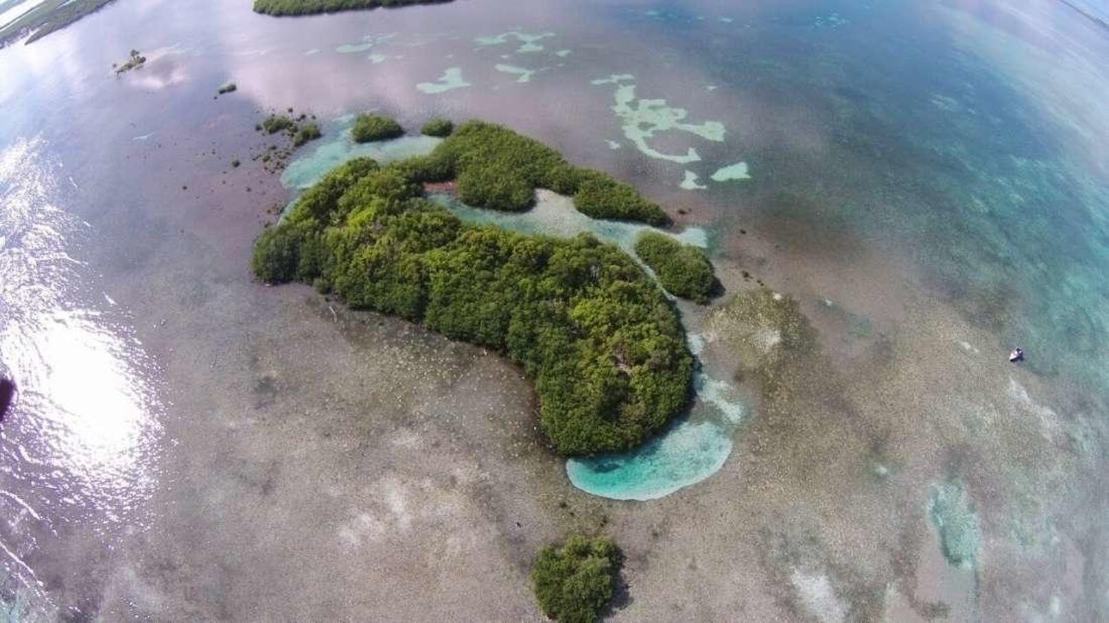 <b>Frigate Caye, Belize</b>
Mit nur gerade etwas mehr als 5000 Quadratmetenr ist diese Insel in Belize vergleichsweise klein ? und ebenfalls noch unerschlossen.