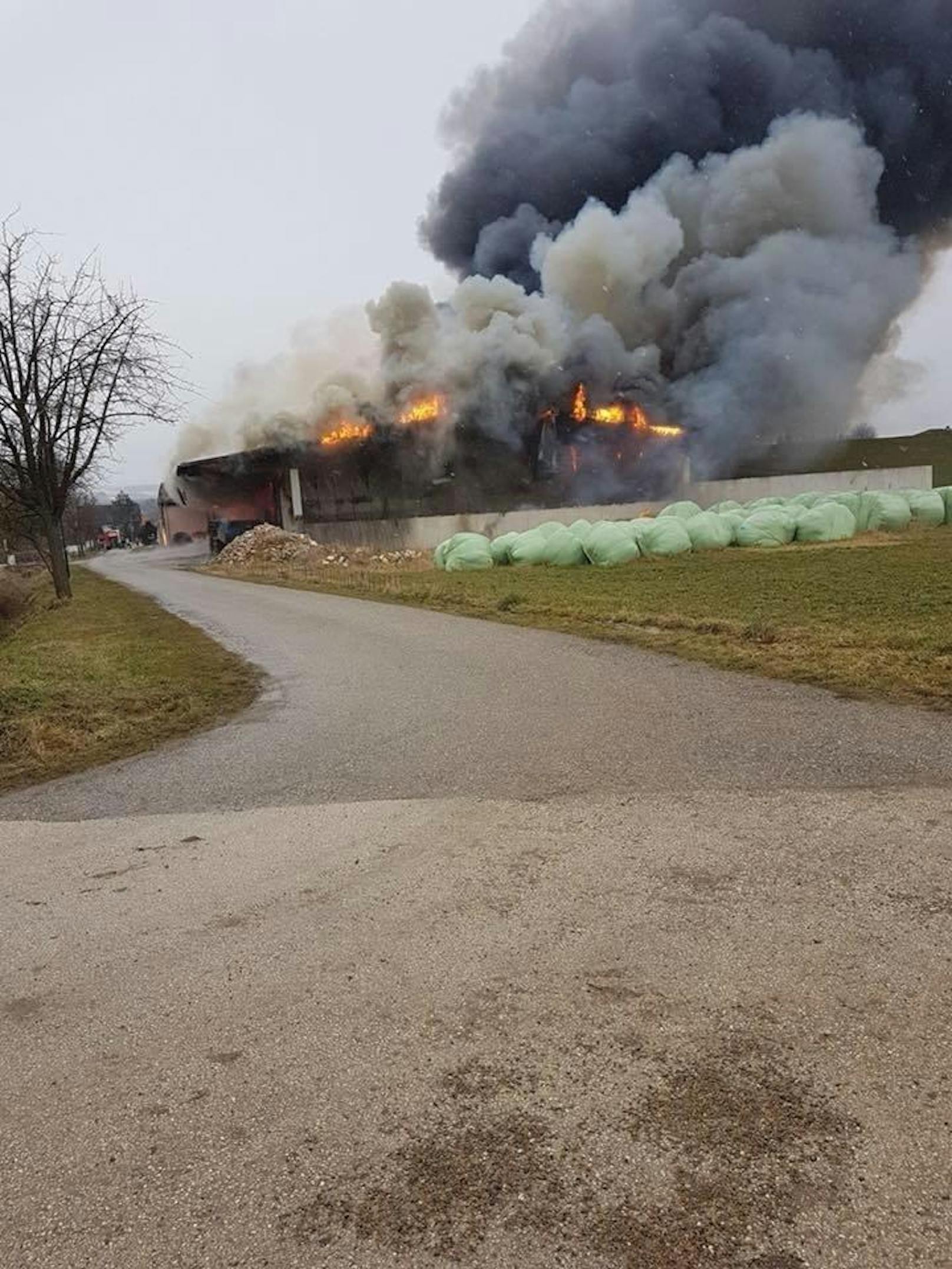 Fotos vom Lagerhallenbrand in Obergänserndorf.