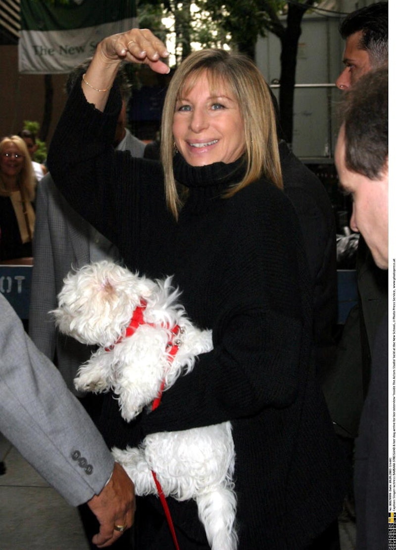Barbra Streisand