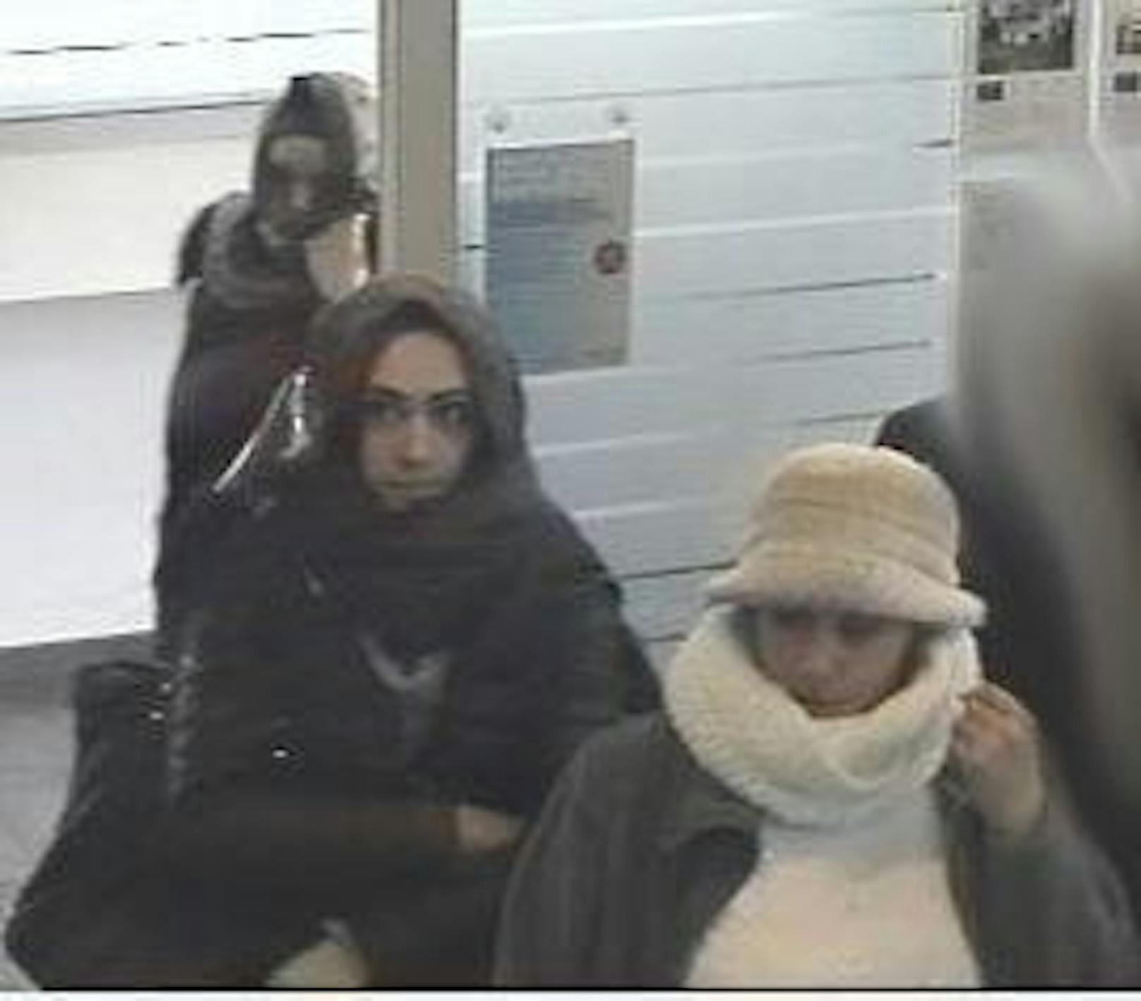 Mit den Bankomatkarten aus den gestohlenen Brieftaschen, holten sich die drei Frauen auch noch Bargeld in einer Bankfiliale in Liesing.