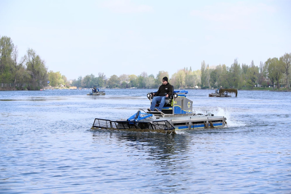 Seit heute sind die Mähboote der Stadt wieder auf der Alten Donau im Einsatz.