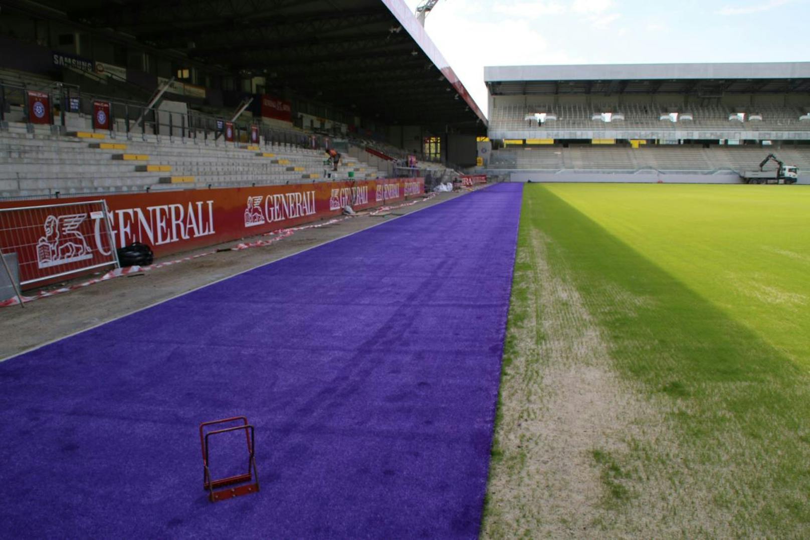 Der violette Rasen wird in der Generali Arena verlegt